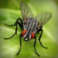 /album/derfitiken/photolia-a01-jpg/