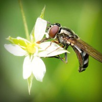 /album/derfitiken/photolia-a02-jpg/