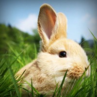 /album/derfitiken/photolia-a03-jpg/