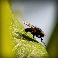 /album/derfitiken/photolia-a04-jpg/