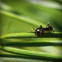 /album/derfitiken/photolia-a05-jpg/