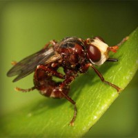 /album/derfitiken/photolia-a06-jpg/