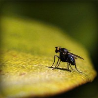 /album/derfitiken/photolia-a07-jpg/