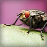 /album/derfitiken/photolia-a08-jpg/